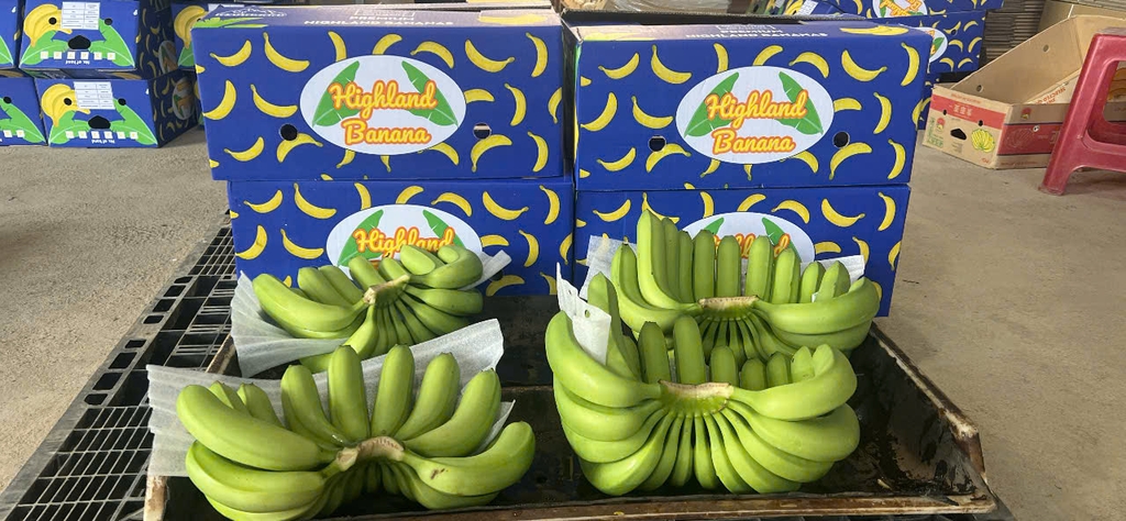 Bao bì đóng gói chuối xuất khẩu